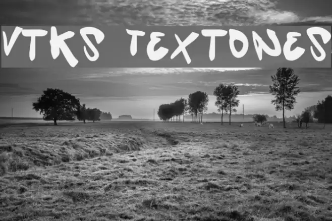 Vtks Textones Font examples