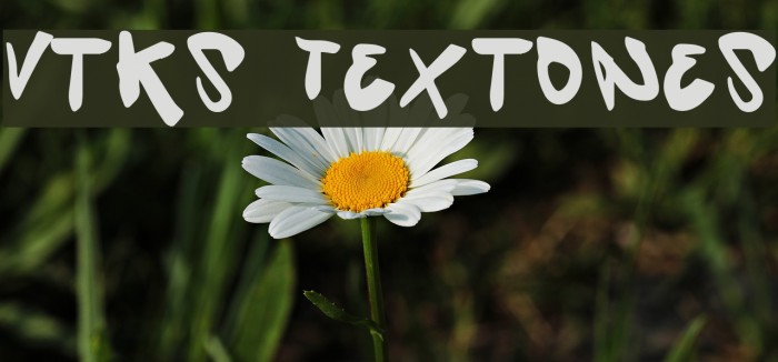 Vtks Textones フォント examples
