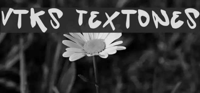 Vtks Textones Font examples