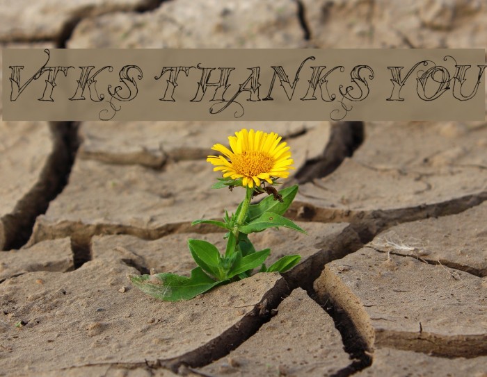 Vtks Thanks You Font examples