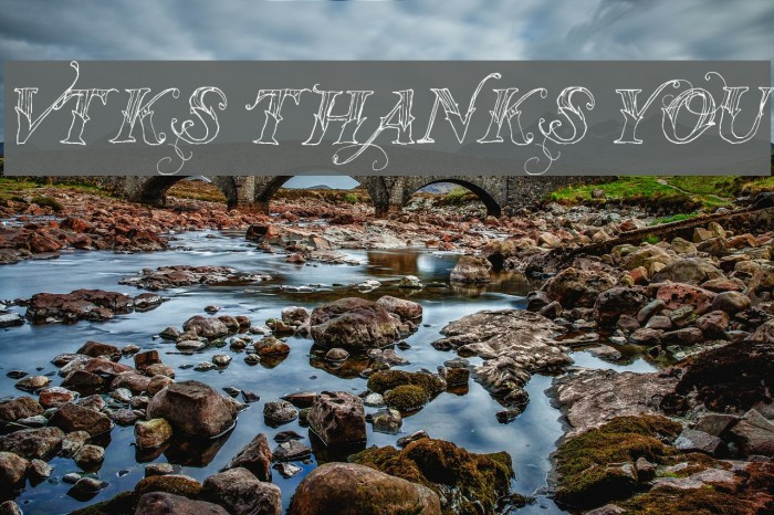 Vtks Thanks You Font examples