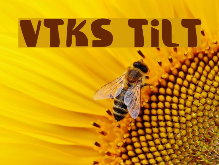 Vtks Tilt Font examples