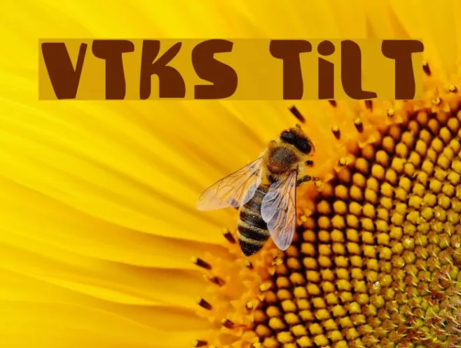 Vtks Tilt Example 3