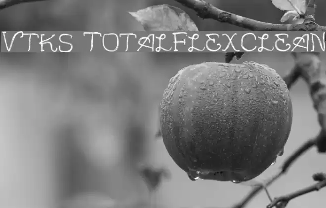 Vtks TotalFlexClean Font examples
