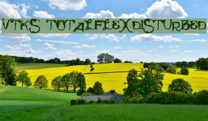 Vtks TotalFlexDisturbed Font examples