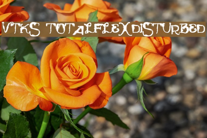 Vtks TotalFlexDisturbed Font examples
