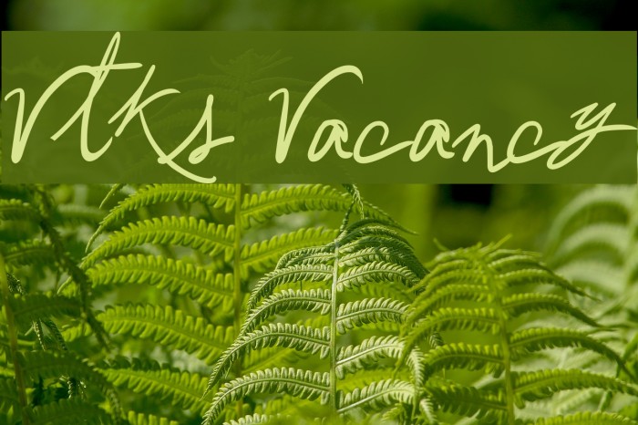 Vtks Vacancy Font examples