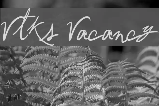 Vtks Vacancy Font examples