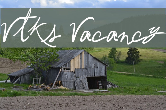 Vtks Vacancy Font examples