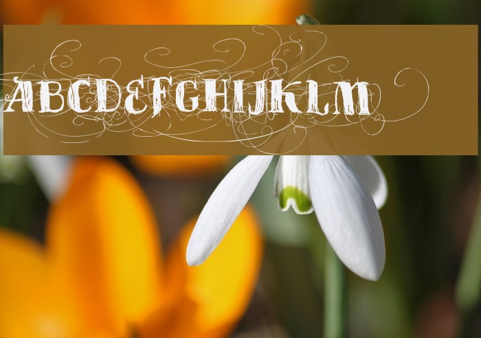 Vtks Velhos Tempos Font examples