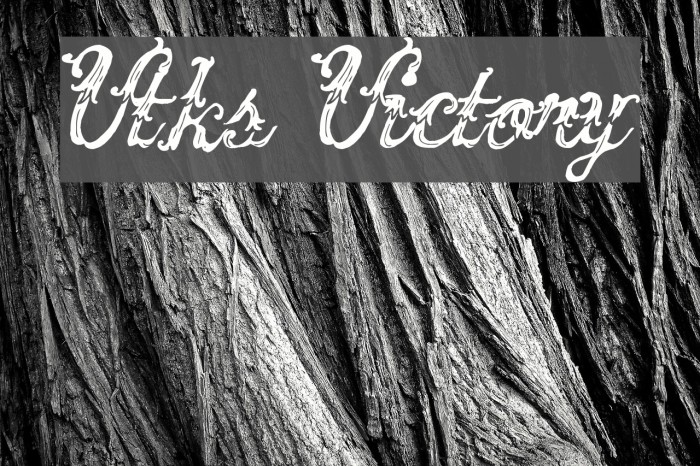 Vtks Victory Font examples