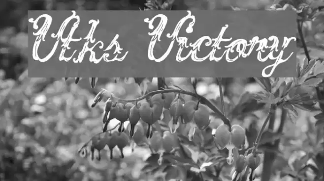 Vtks Victory Font examples