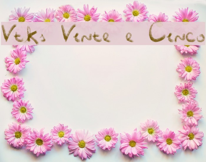 Vtks Vinte e Cinco Example 3