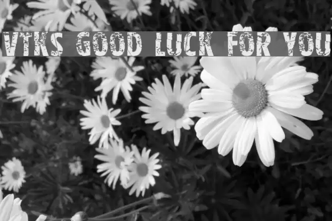 Vtks good luck for you Font examples