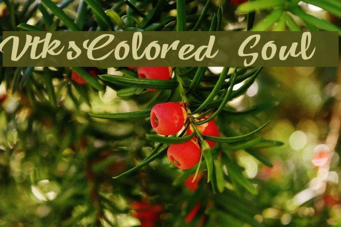 VtksColored Soul 3 Font examples