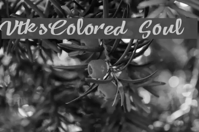 VtksColored Soul 3 フォント examples
