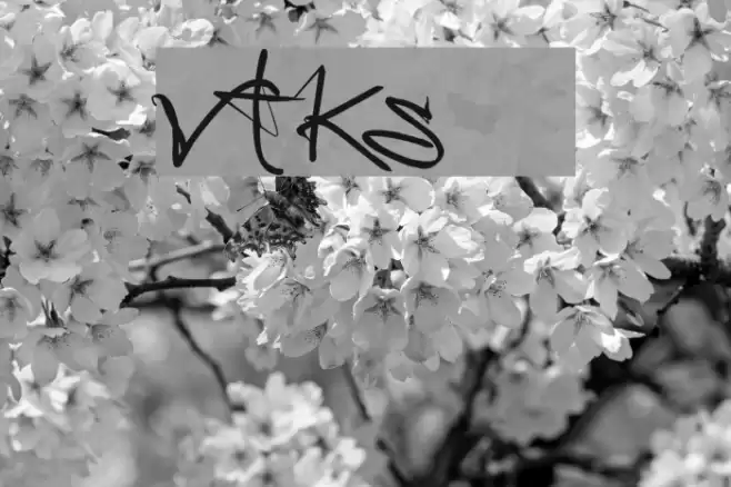 vtks 38 Font examples