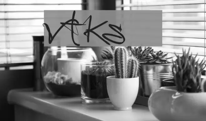 vtks 38 Font examples