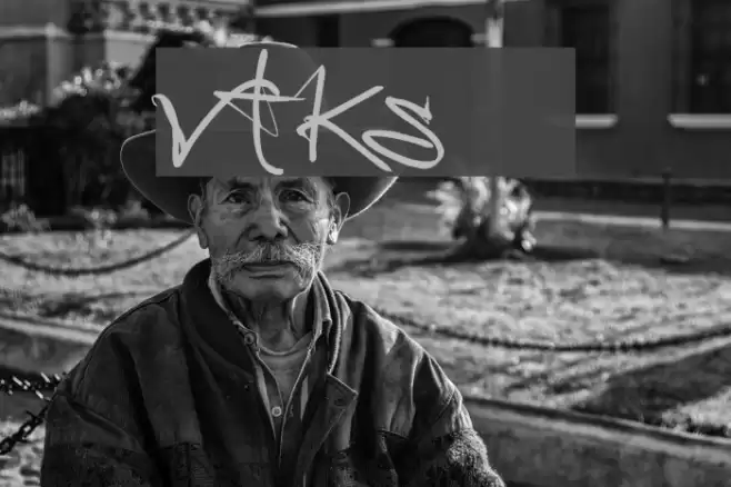 vtks 38 Font examples