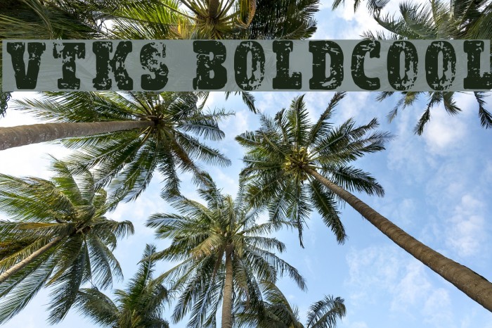 vtks Bold&Cool Example 1