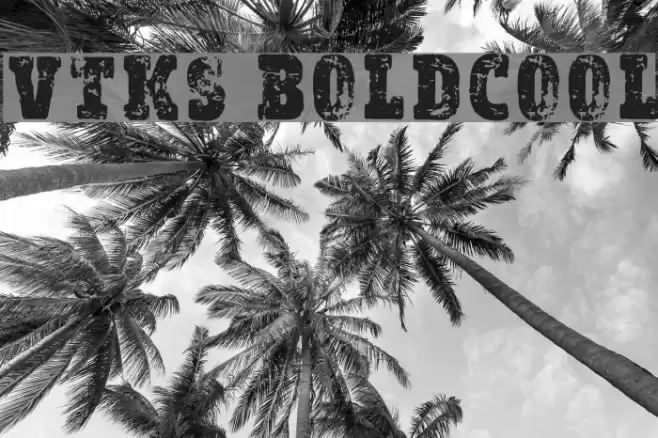 vtks Bold&Cool Font examples