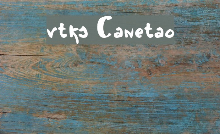 vtks Canetao Example 1