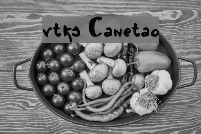 vtks Canetao Font examples
