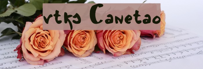 vtks Canetao Example 3