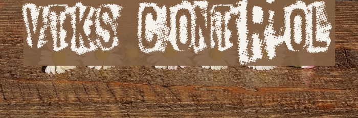 vtks Control Font examples