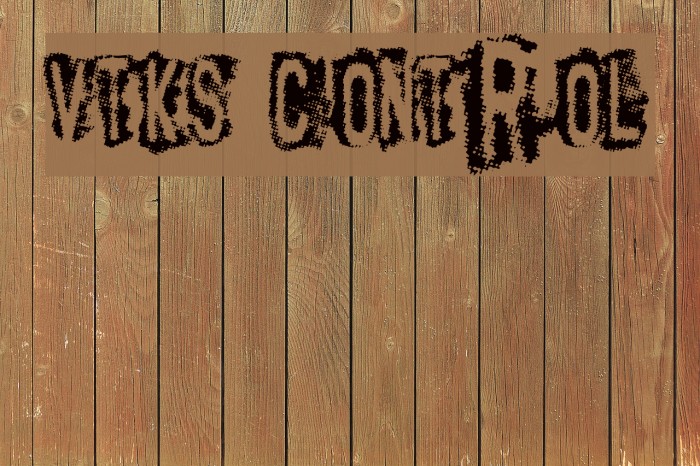 vtks Control Font examples