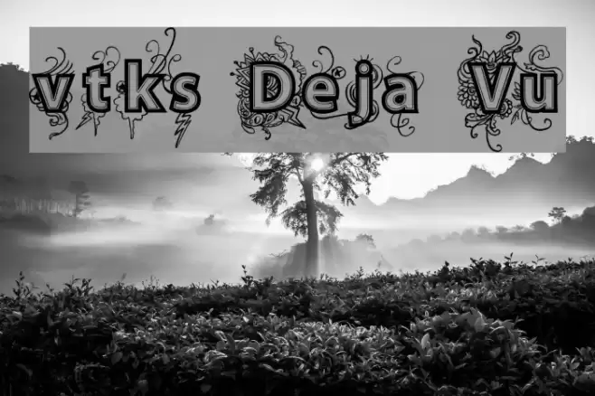 vtks Deja Vu Font examples