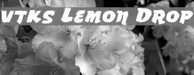 vtks Lemon Drop Font examples