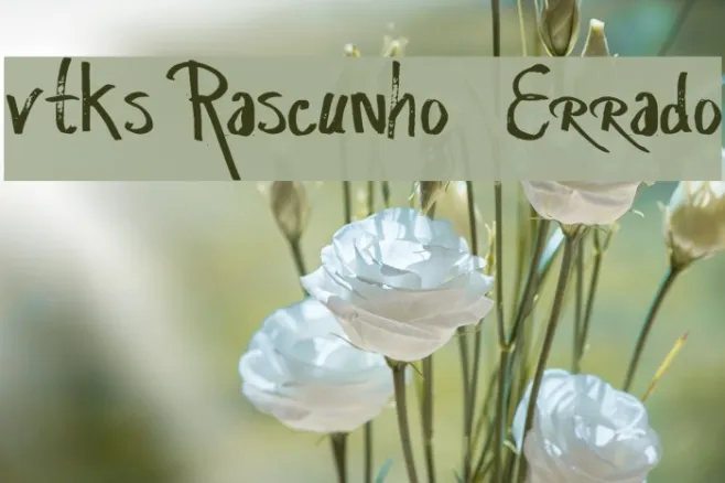 vtks Rascunho  Errado Example 3