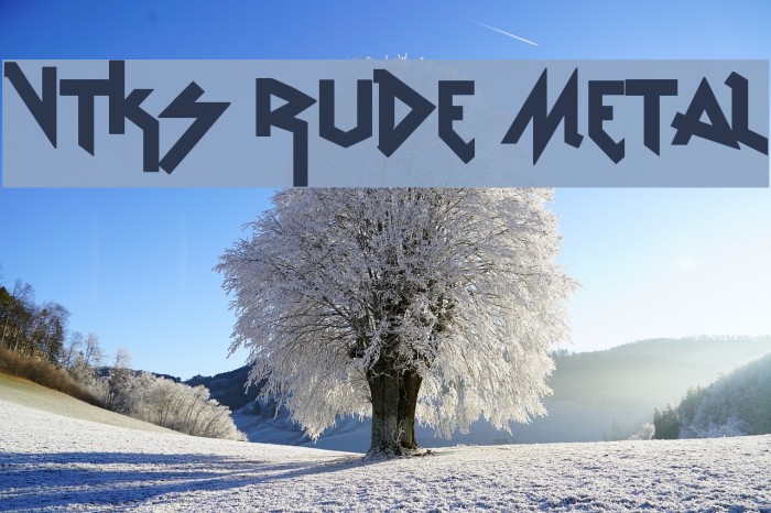 vtks Rude Metal Example 1