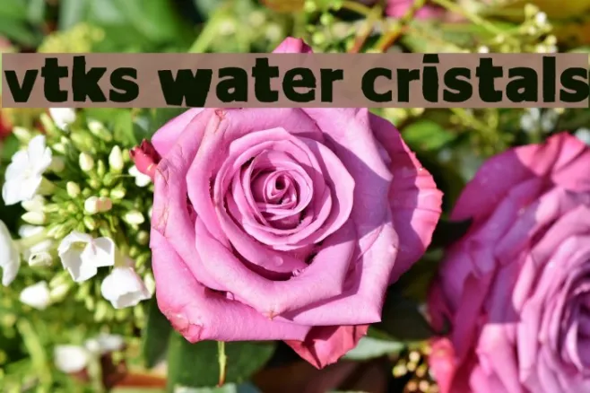vtks Water cristals Example 2