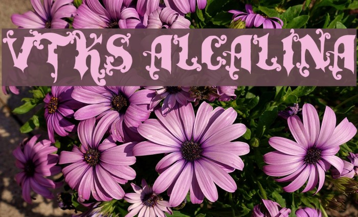 vtks alcalina Font examples