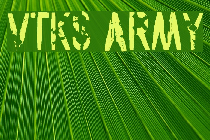 vtks army Font examples