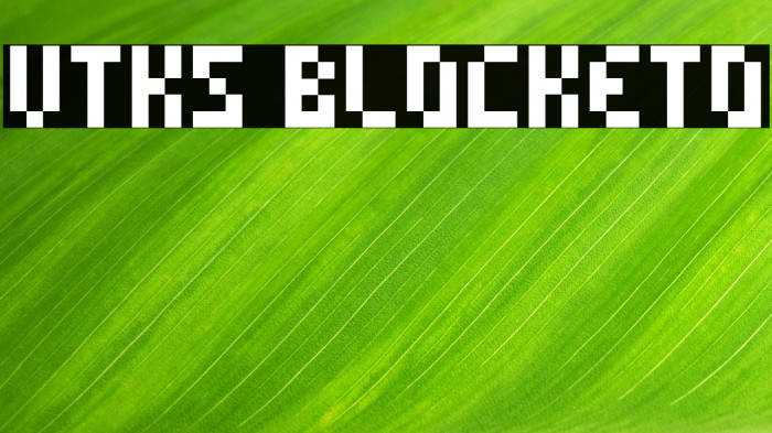 vtks blocketo Example 1