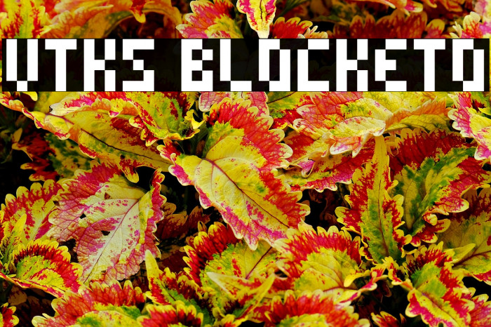 vtks blocketo Example 2