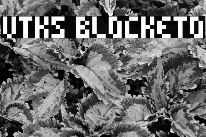 vtks blocketo फ़ॉन्ट examples
