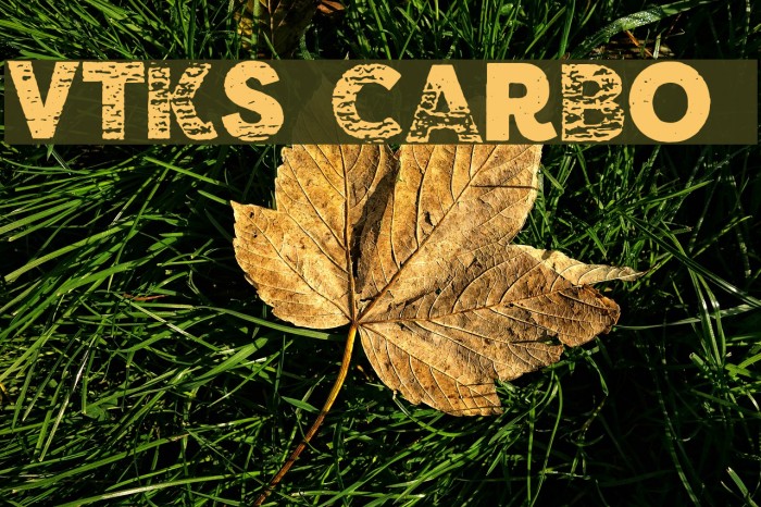 vtks carbo 753 Font examples