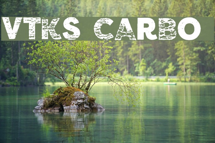 vtks carbo 753 Font examples