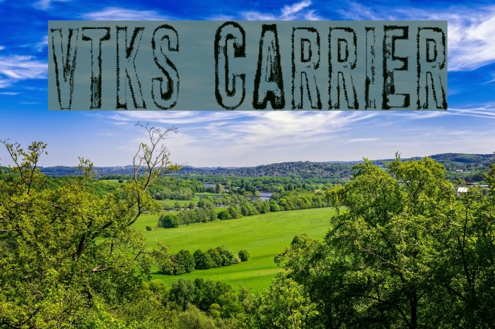 vtks carrier Font examples