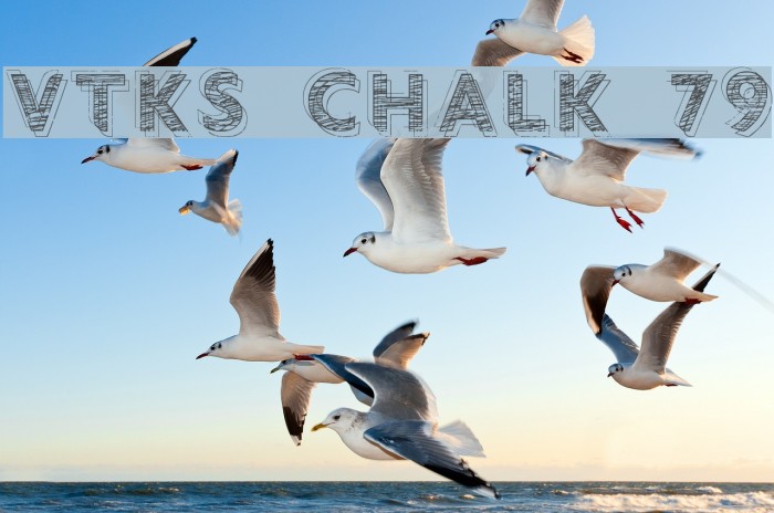 vtks chalk 79 Font examples