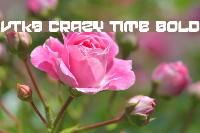 vtks crazy time bold Font examples