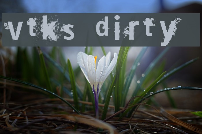 vtks dirty 2 Font examples
