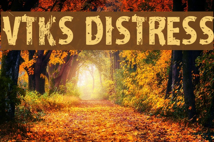 vtks distress Font examples