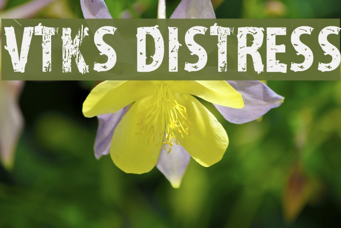 vtks distress Font examples
