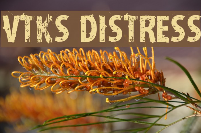 vtks distress Font examples