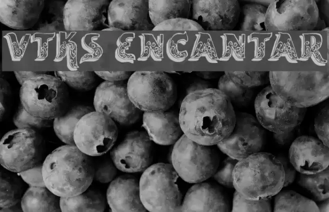 vtks encantar Caratteri examples